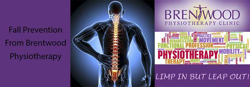 fall prevention back pain brentwood physio northwest